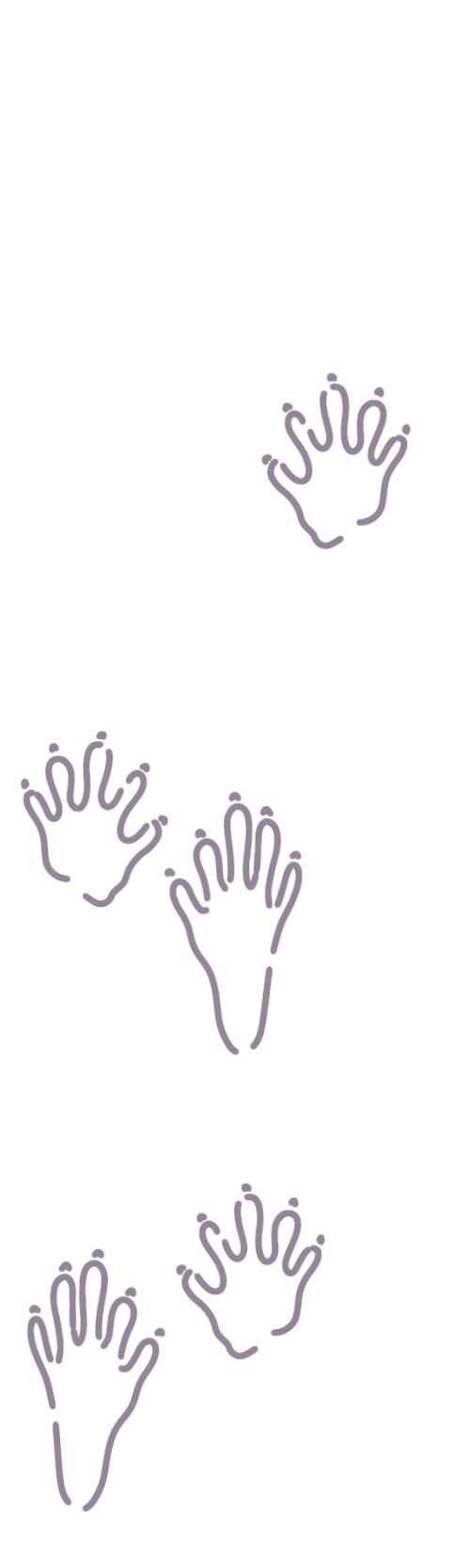 Lilac Lotor Paw Accent